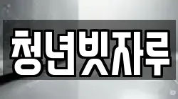 청년빗자루