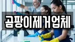 곰팡이제거업체