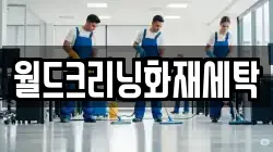 전남 완도군 고금면 청소,입주청소,사무실청소,에어컨청소,특수청소,상가청소,거주청소,유품정리
