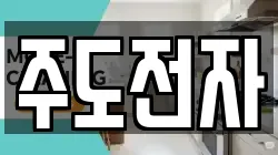 주도전자