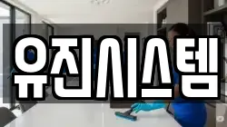 전남 장성군 동화면 청소,입주청소,사무실청소,에어컨청소,특수청소,상가청소,거주청소,유품정리