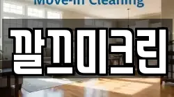 깔끄미크린
