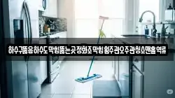 하수구뚫음하수도막힘뚫는곳정화조막힘횡주관오주관청소맨홀역류