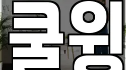 쿨윙