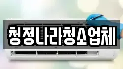 청정나라청소업체