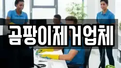 곰팡이제거업체