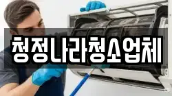 청정나라청소업체