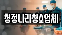 청정나라청소업체