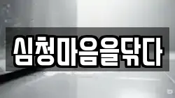 심청마음을닦다