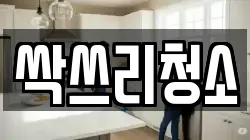 싹쓰리청소
