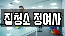 집청소 정여사