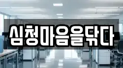 심청마음을닦다