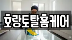 호랑토탈홈케어