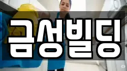 금성빌딩