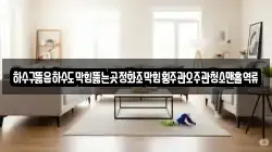 하수구뚫음하수도막힘뚫는곳정화조막힘횡주관오주관청소맨홀역류