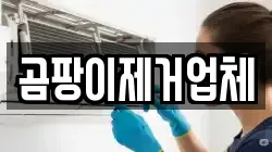 곰팡이제거업체