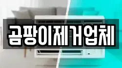 곰팡이제거업체