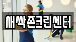 새싹존크린센터