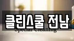 클린스쿨 전남