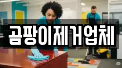 곰팡이제거업체