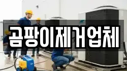 곰팡이제거업체