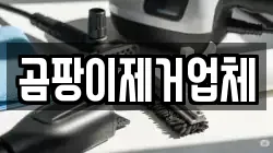 곰팡이제거업체