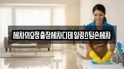 세차의요정출장세차디테일링스팀손세차
