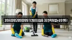 강아지파양고양이파양유기견보호소실종구조안락사없는보호센터