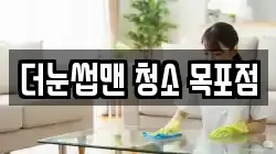 더눈썹맨 청소 목포점