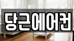 당근에어컨