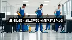 쇼파,매트리스,카페트,탈취청소 전문하우스위프 목포점