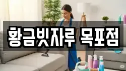 황금빗자루 목포점