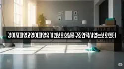 강아지파양고양이파양유기견보호소실종구조안락사없는보호센터