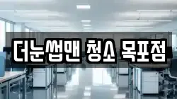 더눈썹맨 청소 목포점