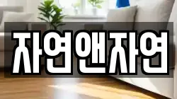자연앤자연