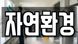 자연환경