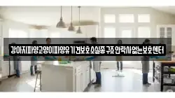 강아지파양고양이파양유기견보호소실종구조안락사없는보호센터