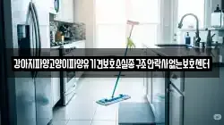강아지파양고양이파양유기견보호소실종구조안락사없는보호센터