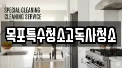 목포특수청소고독사청소