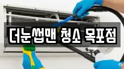 더눈썹맨 청소 목포점