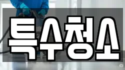 특수청소