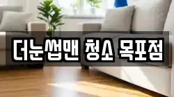 더눈썹맨 청소 목포점