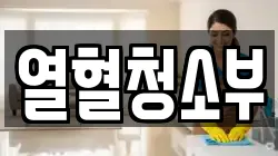 열혈청소부