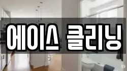에이스 클리닝