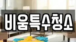 비움특수청소