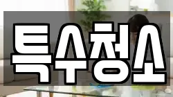 특수청소