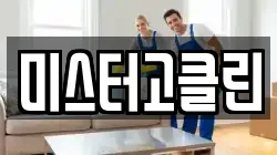 미스터고클린