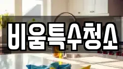 비움특수청소