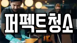 퍼펙트청소