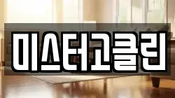 미스터고클린
